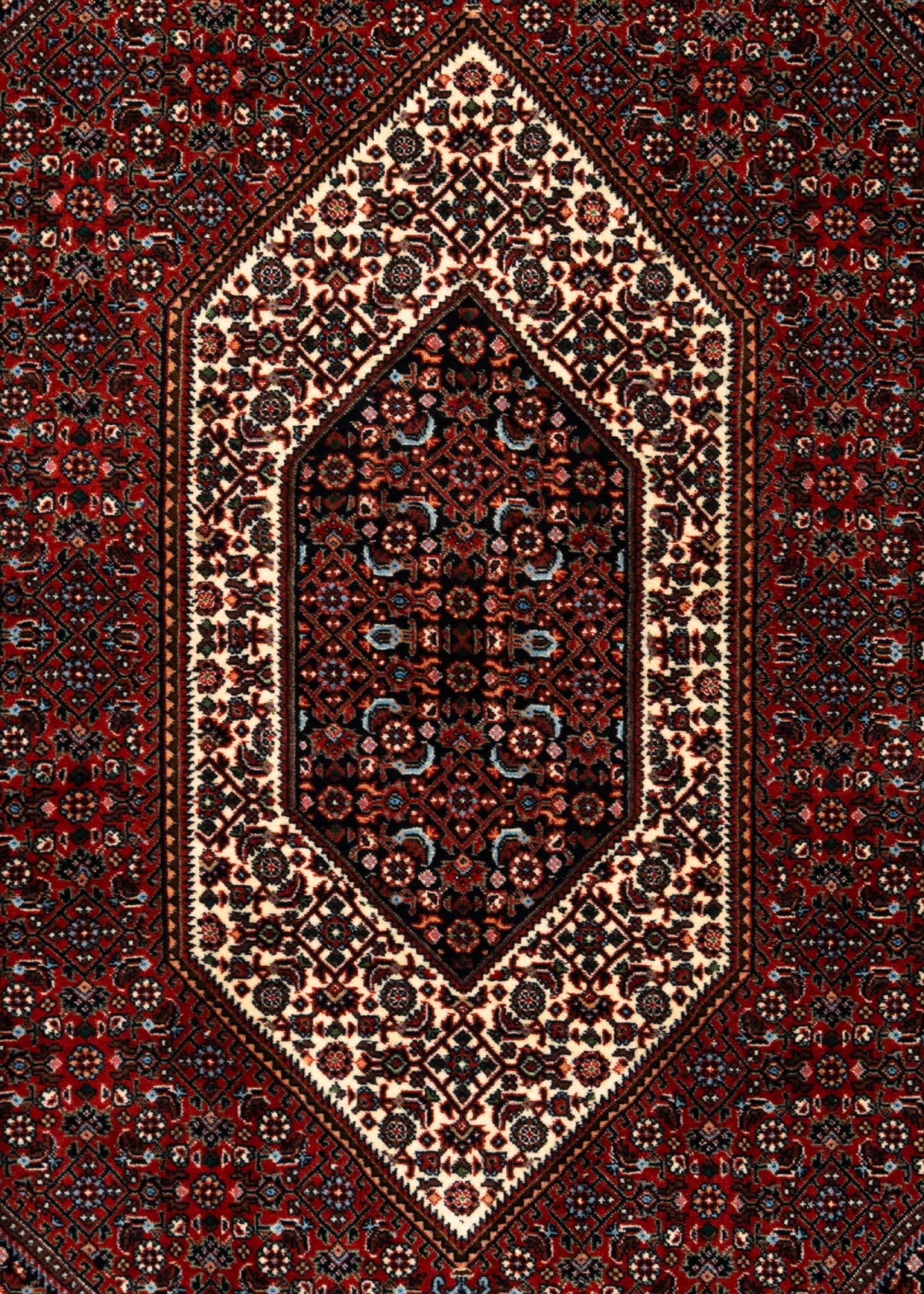185 x 111 Bidjar