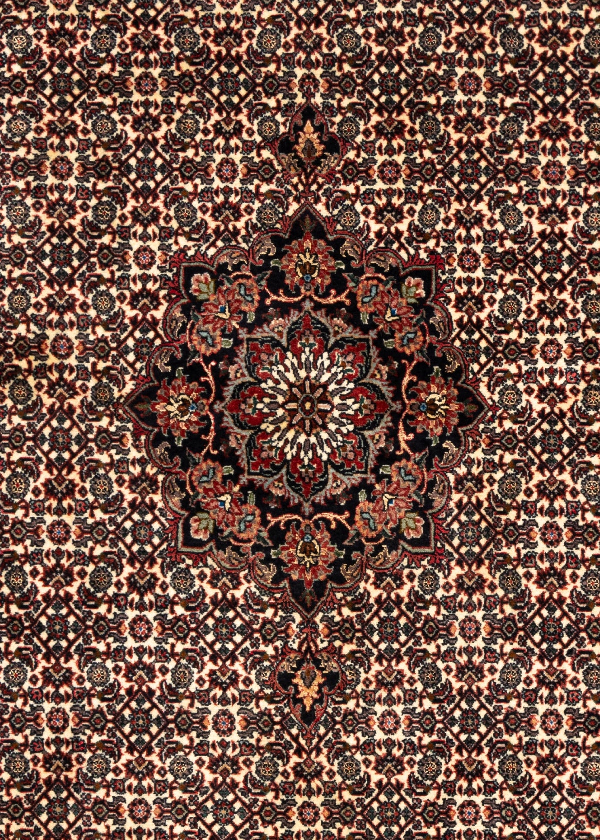 177 x 112 Bidjar