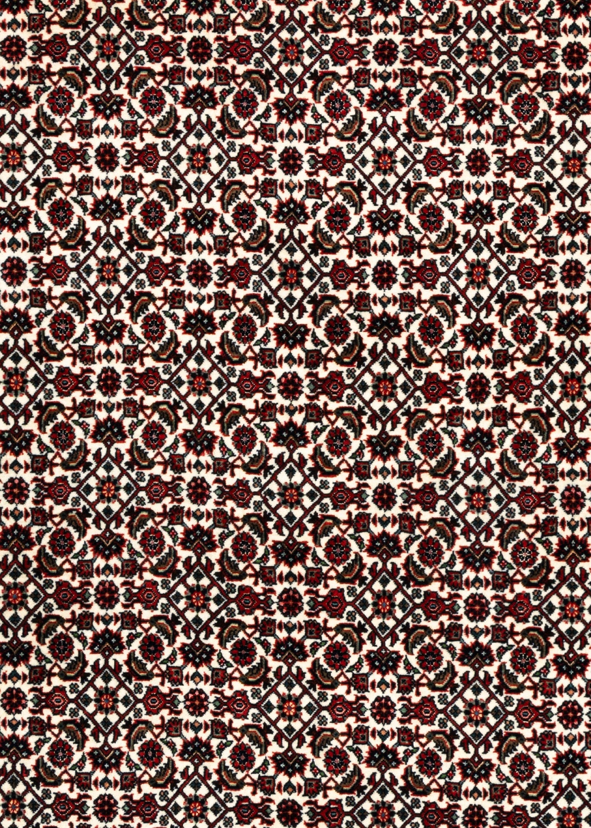 190 x 111 Bidjar mit Seide