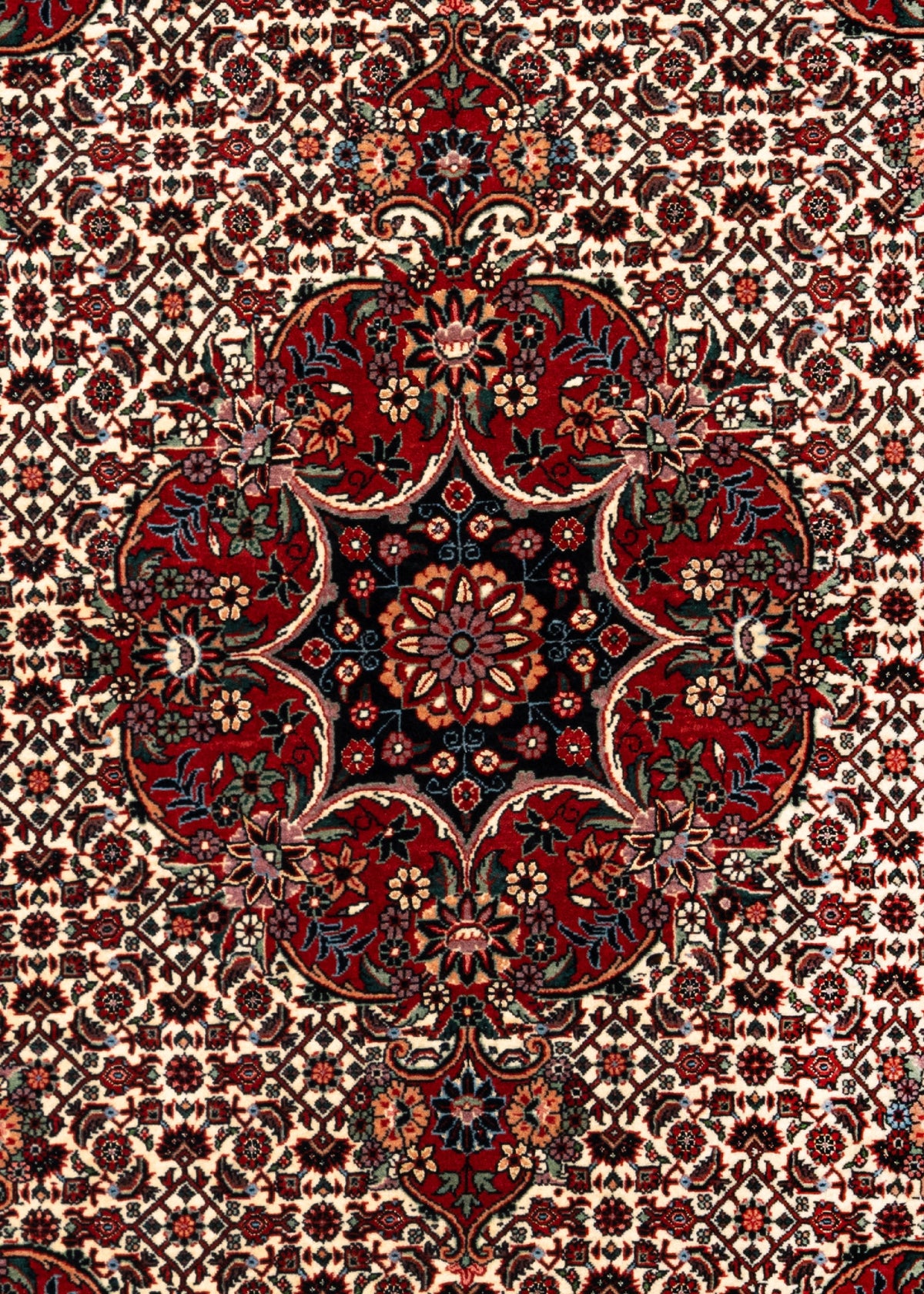177 x 109 Bidjar mit Seide