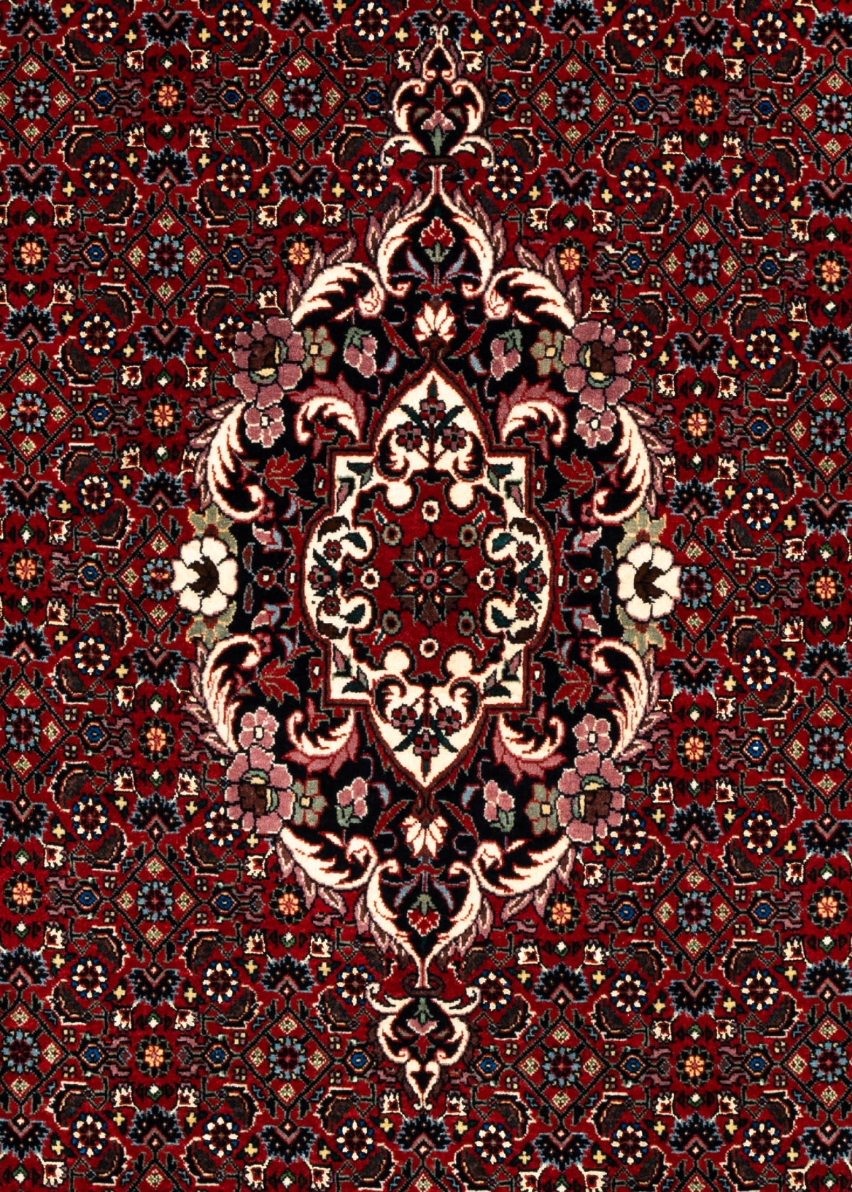182x112 Bidjar