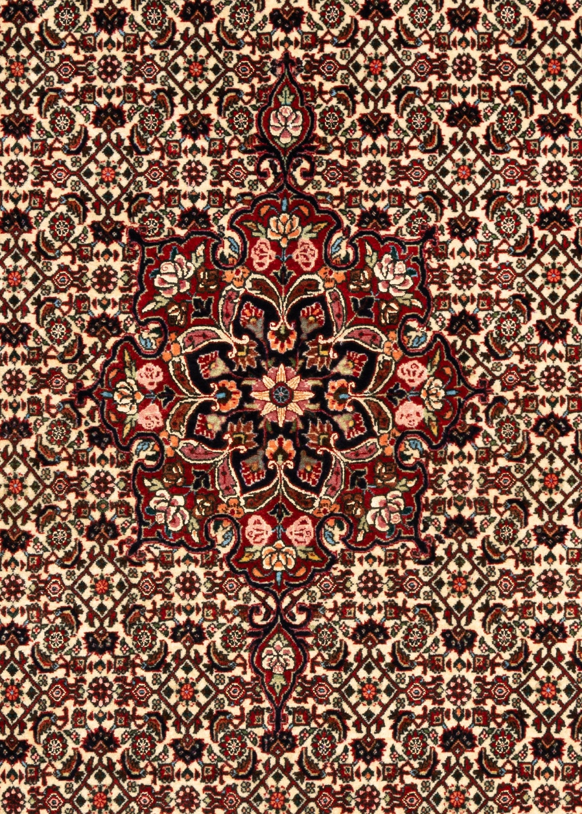 178 x 111 Bidjar