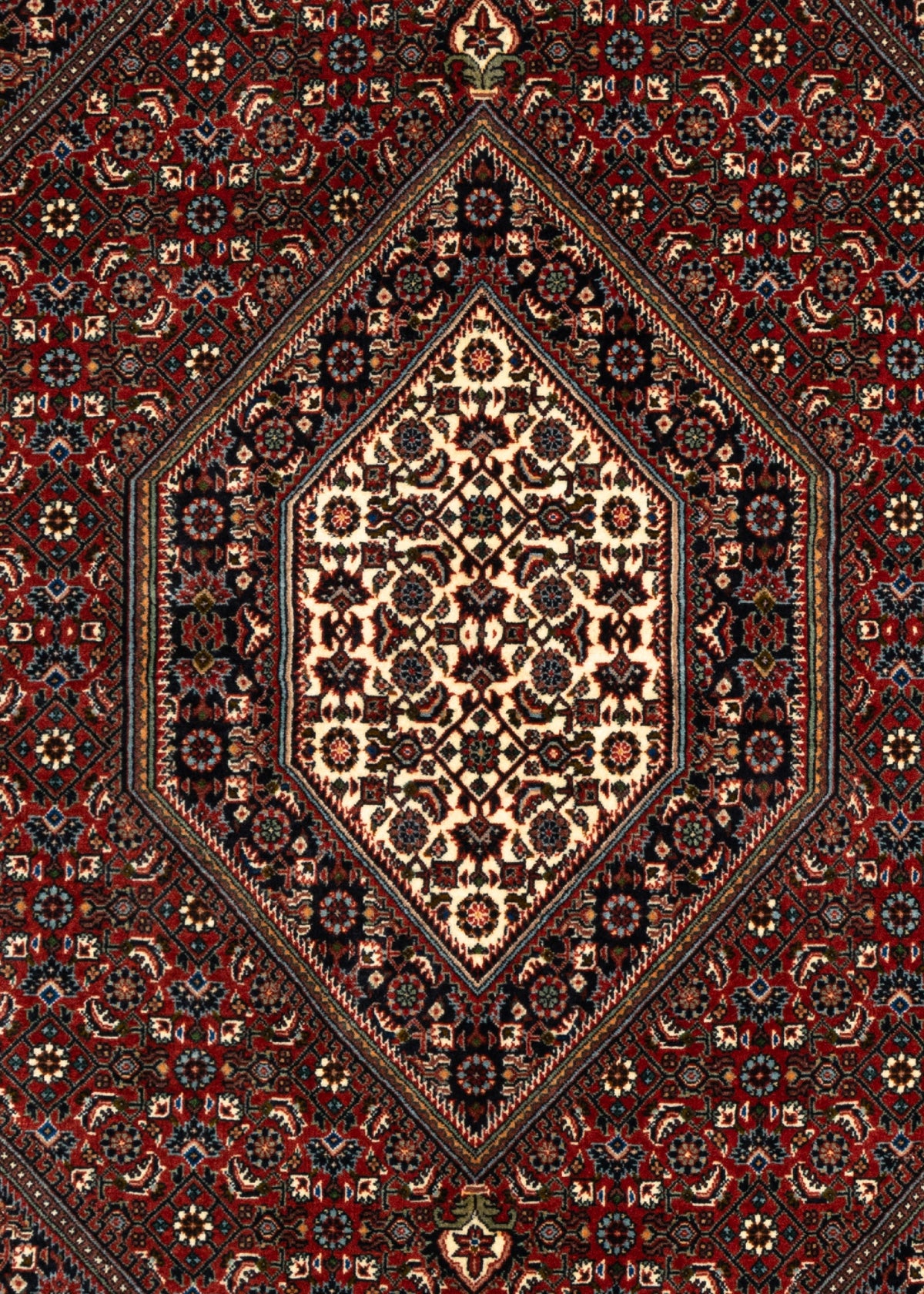 181 x 111 Bidjar