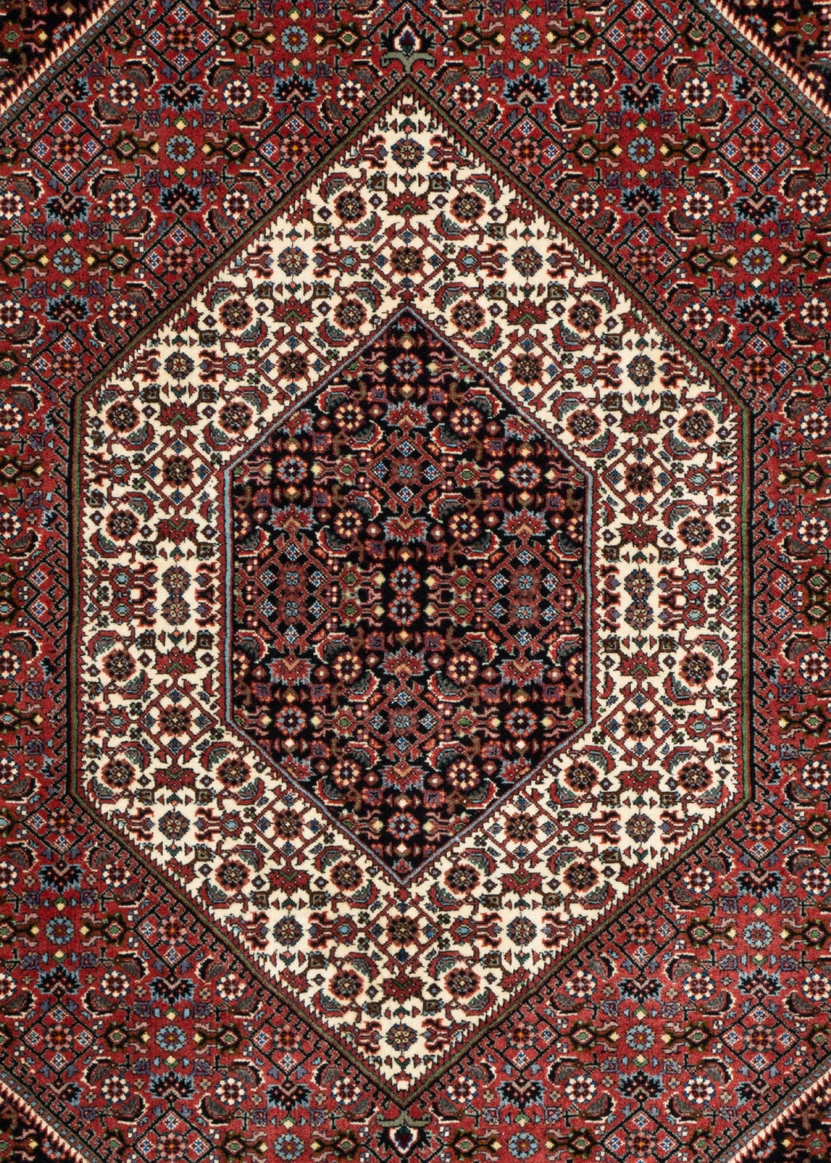 212 x 152 Bidjar