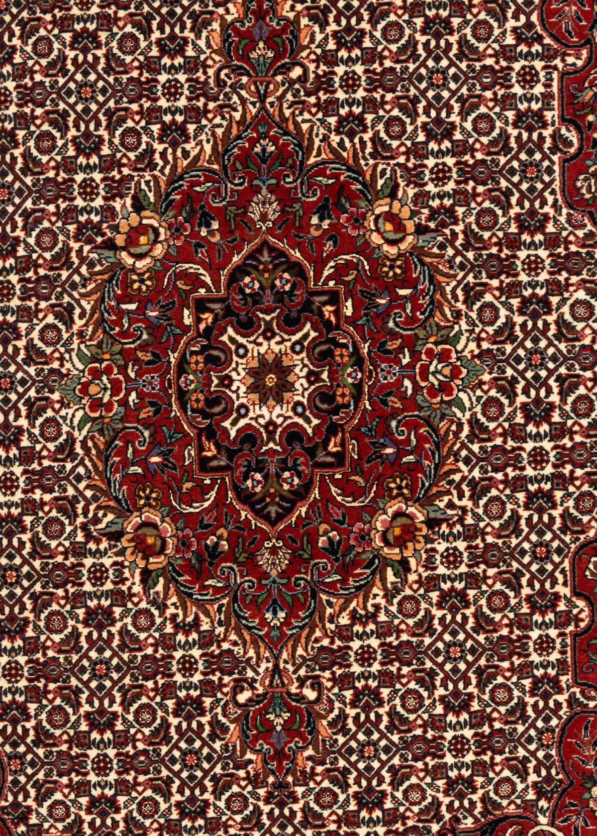 179 x 112 Bidjar