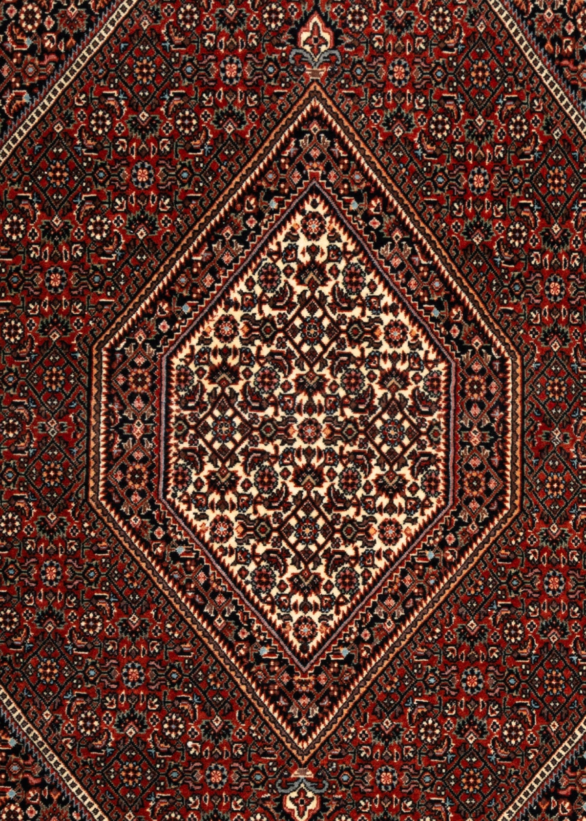 184 x 107 Bidjar