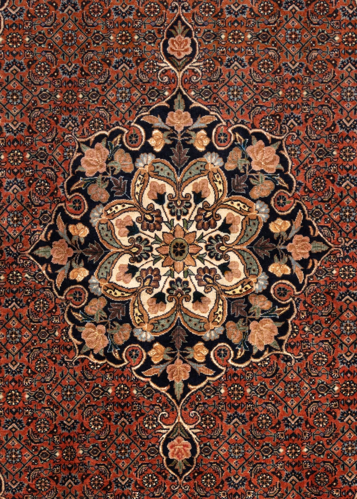 176x110 Bidjar