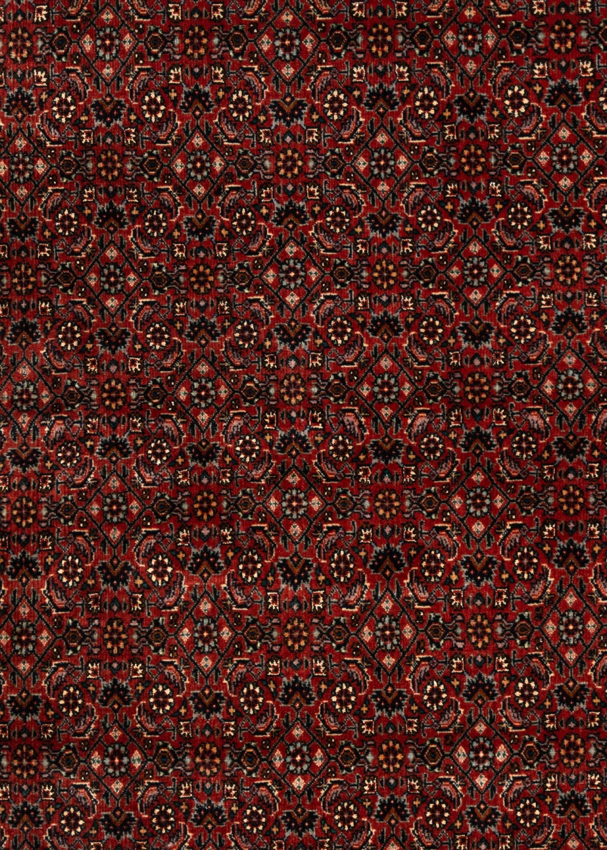 180 x 110 Bidjar