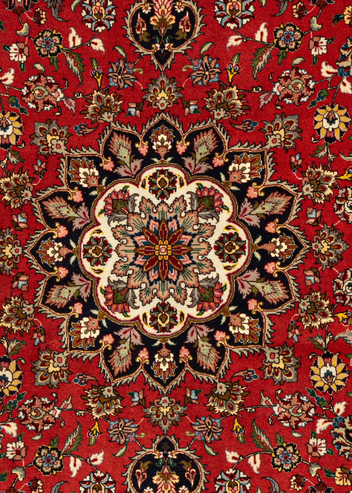 204x204 Tabriz fin