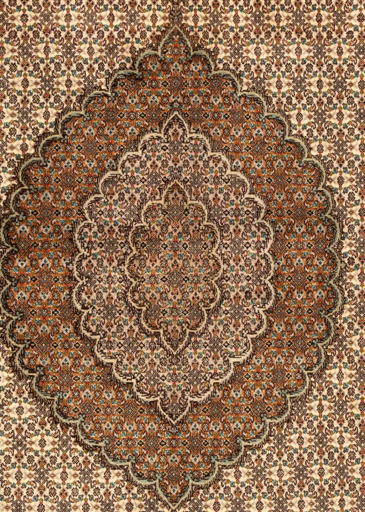 260x172 Tabriz fin