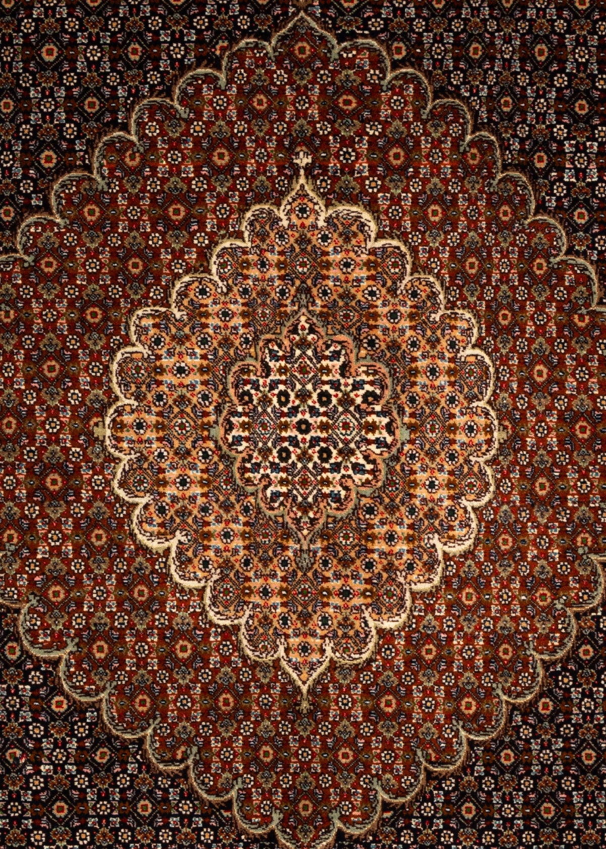 305x202 Tabriz Mahi avec soie