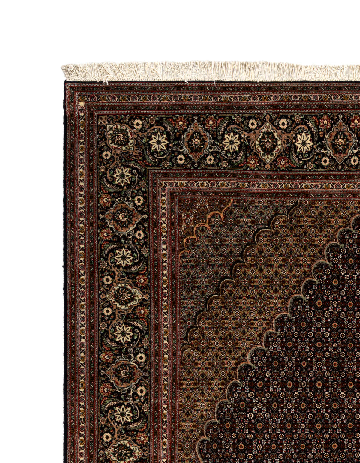 305x202 Tabriz Mahi avec soie