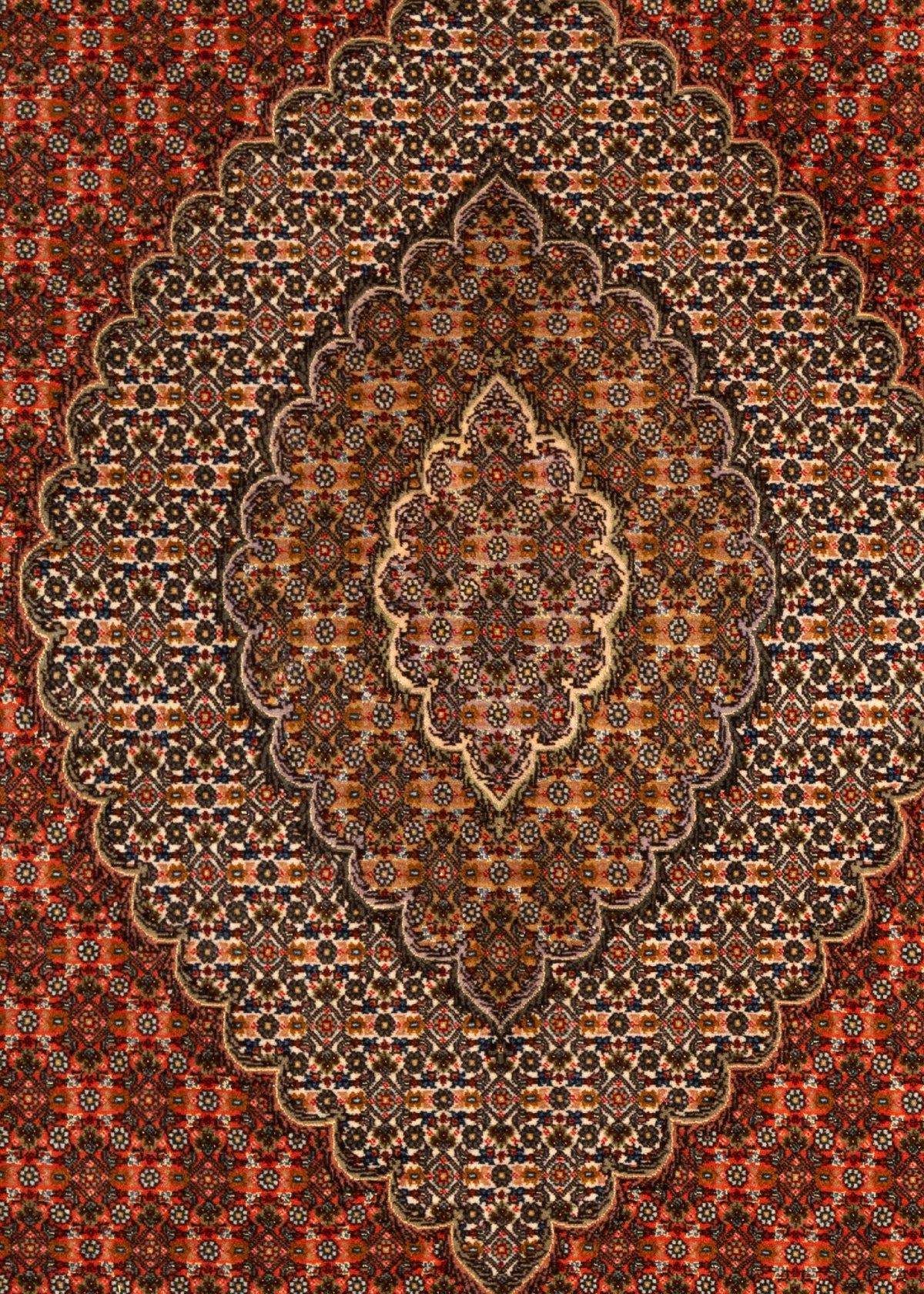 289x197 Tabriz Mahi avec soie