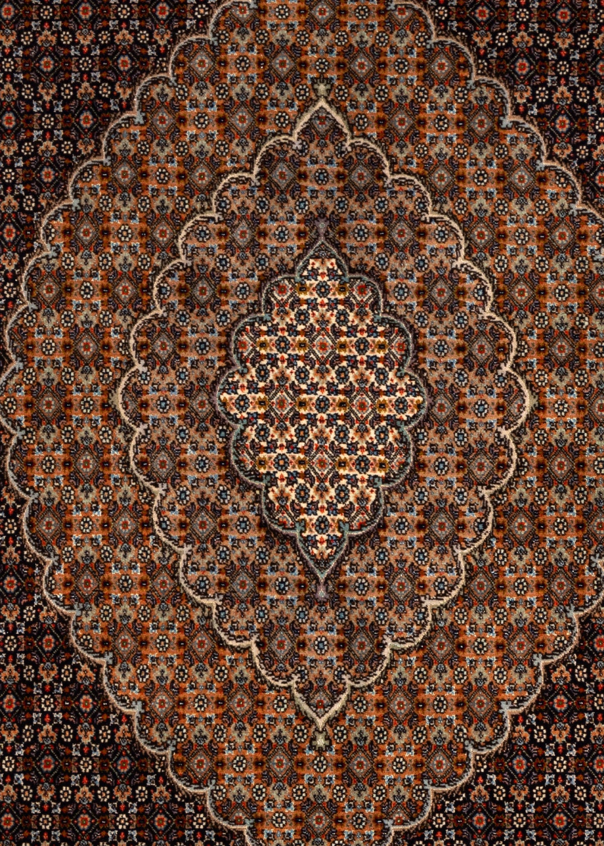 300x202 Tabriz Mahi con seta