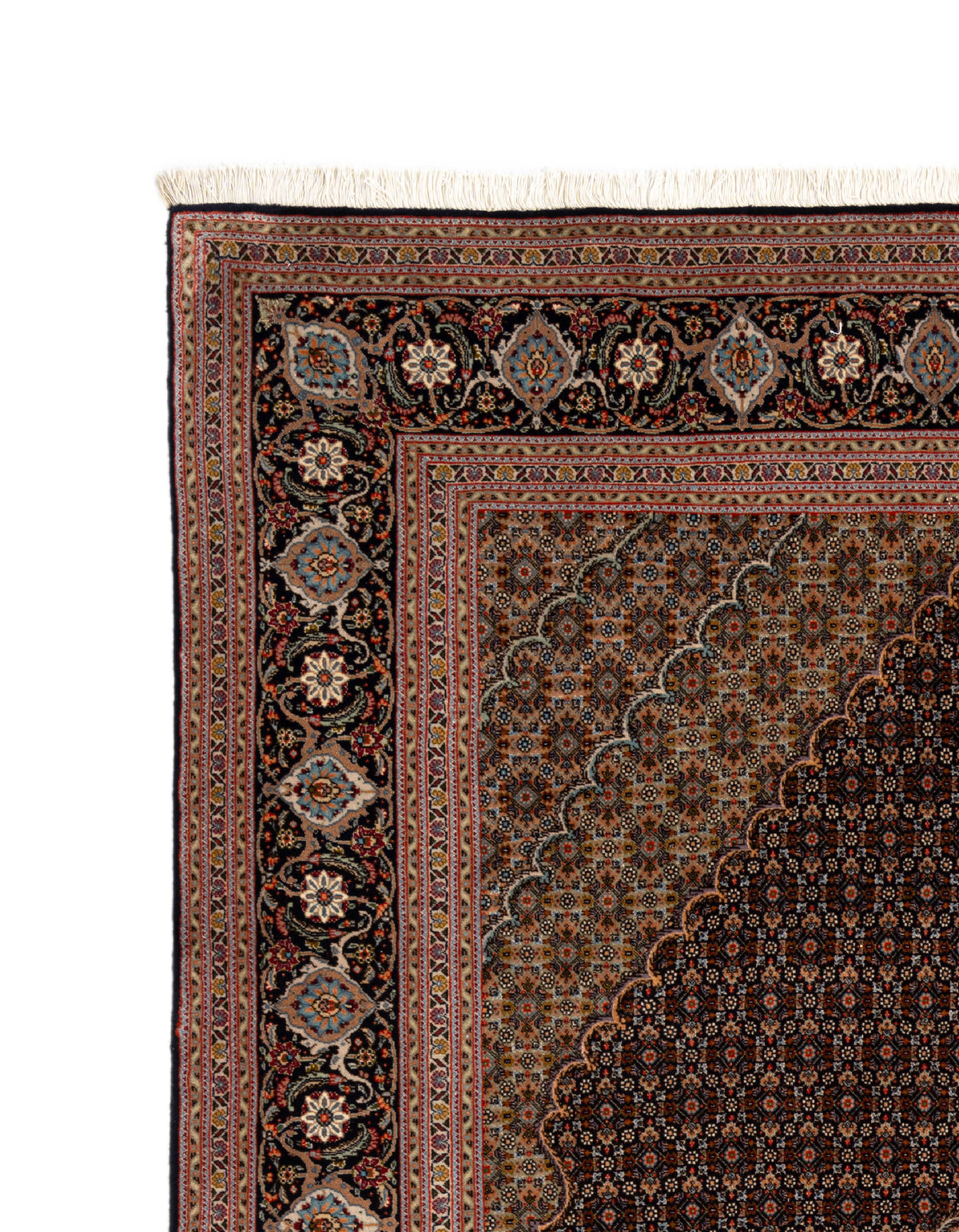 300x202 Tabriz Mahi con seta