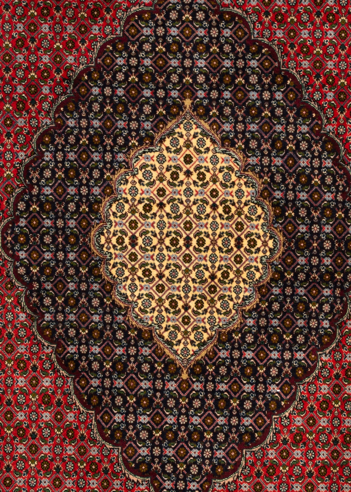 305x201 Mahi di Tabriz con seta