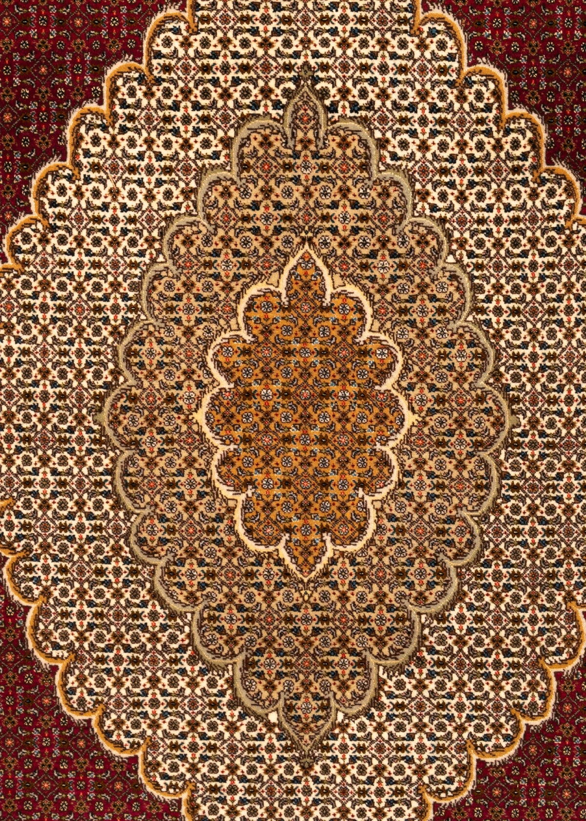 305x205 Tabriz Mahi avec soie