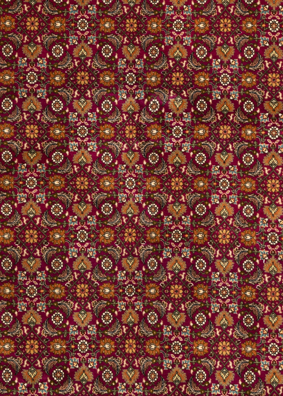 311x209 Mahi di Tabriz con seta