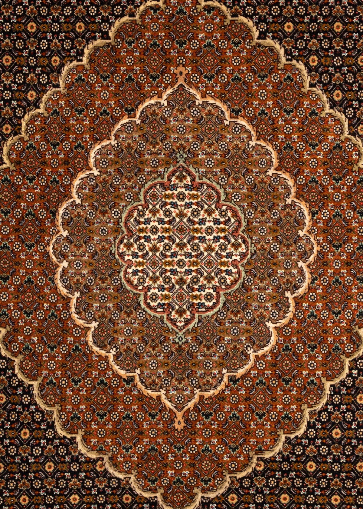305x210 Mahi di Tabriz con seta