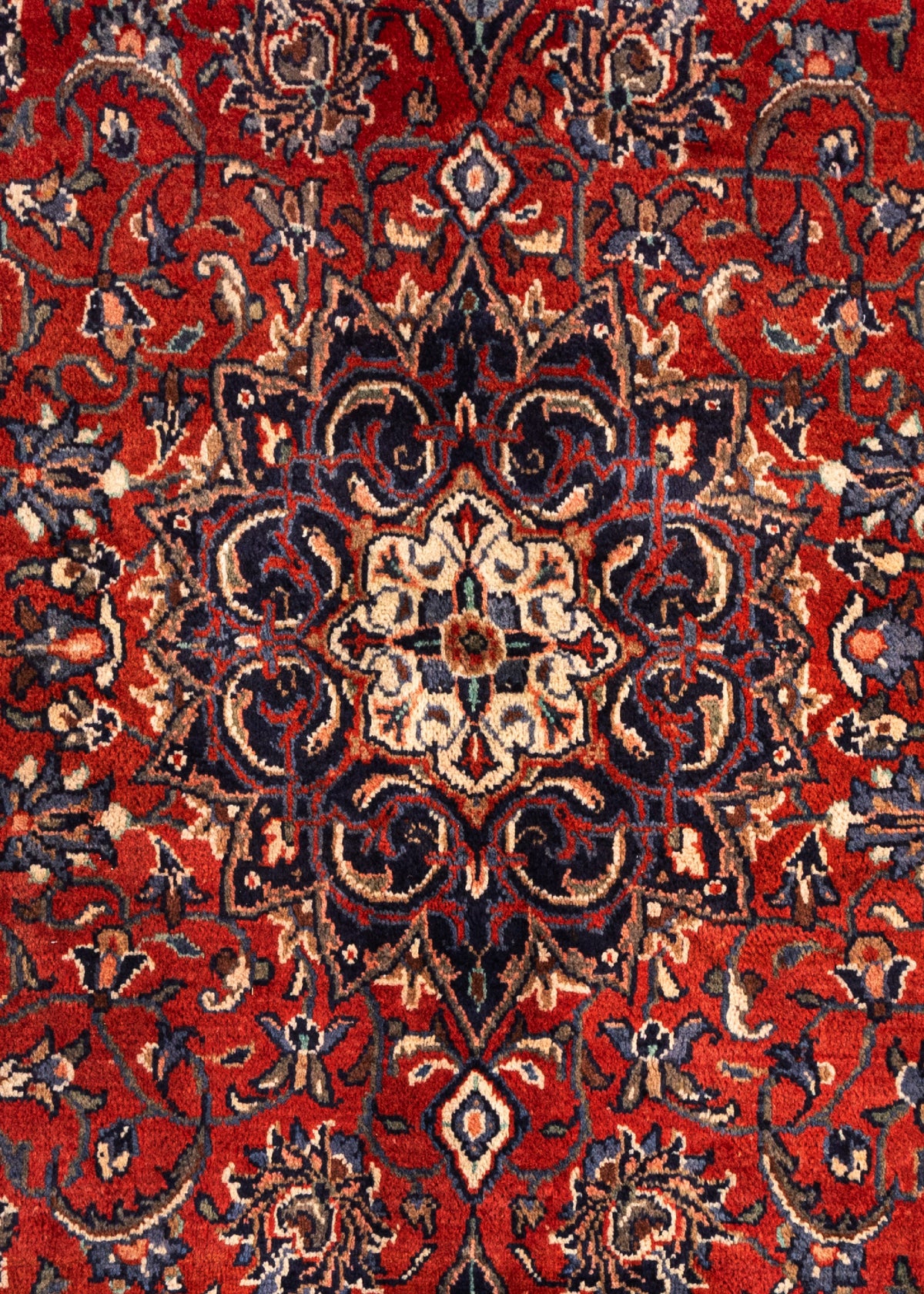 313 x 213 Meshed
