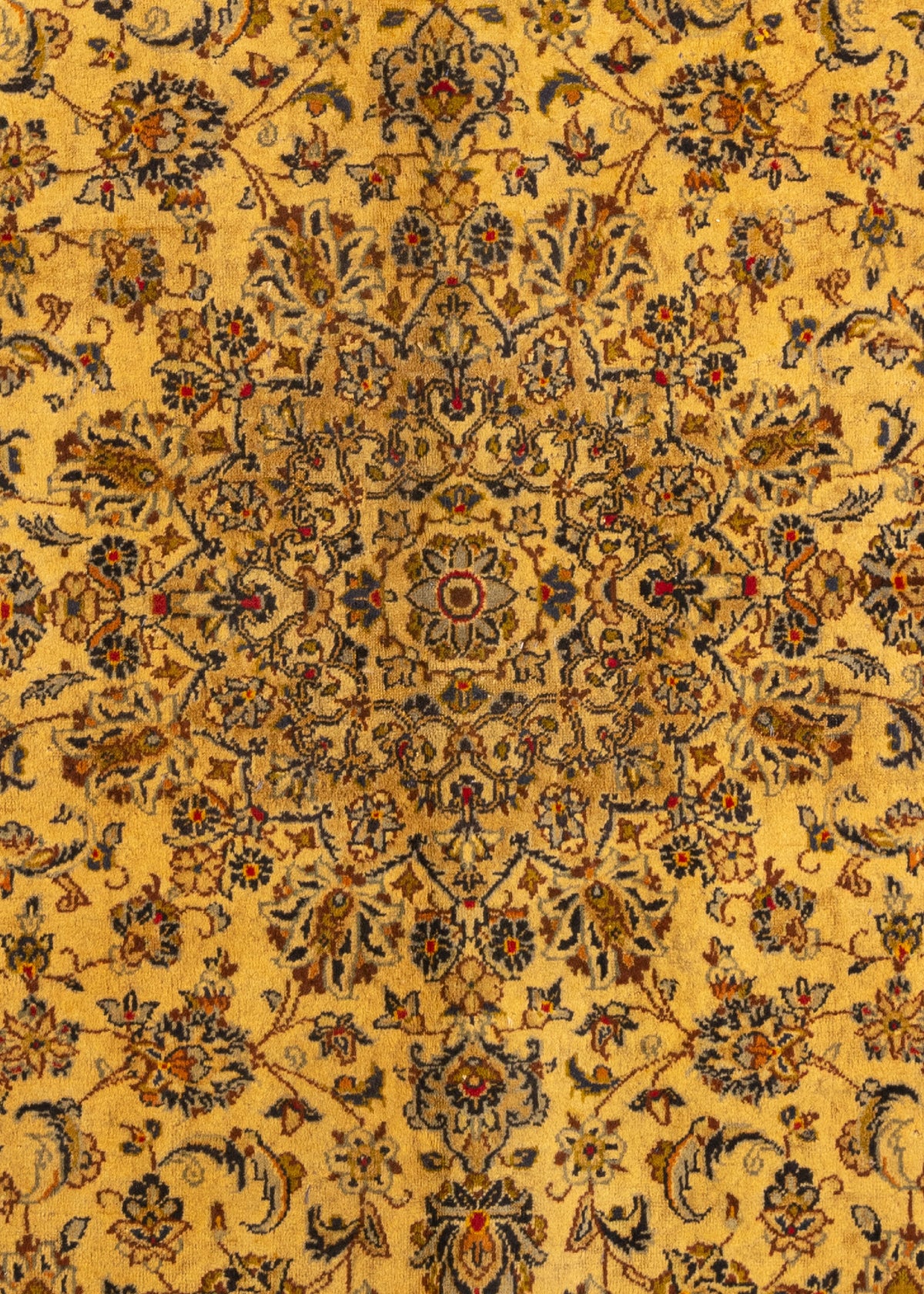 302 x 189 Keshan