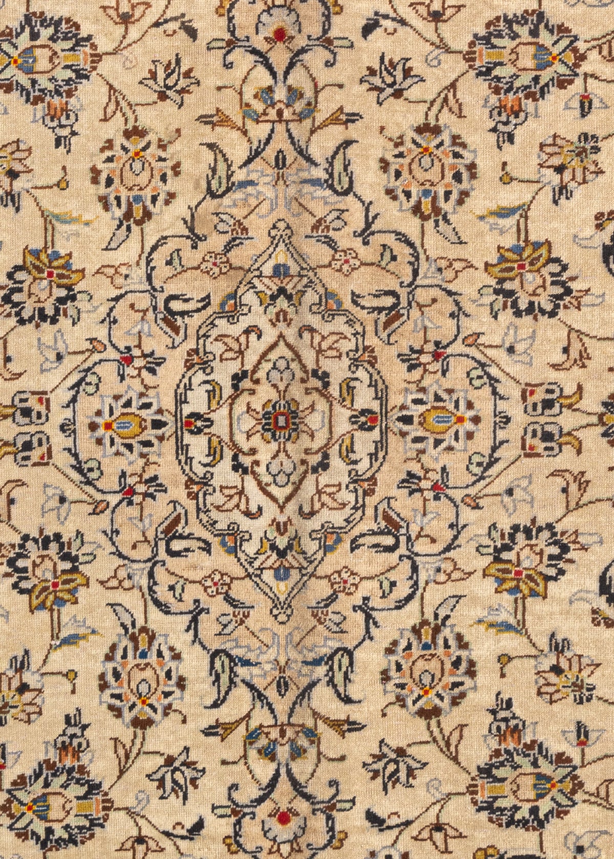 293x197 Keshan