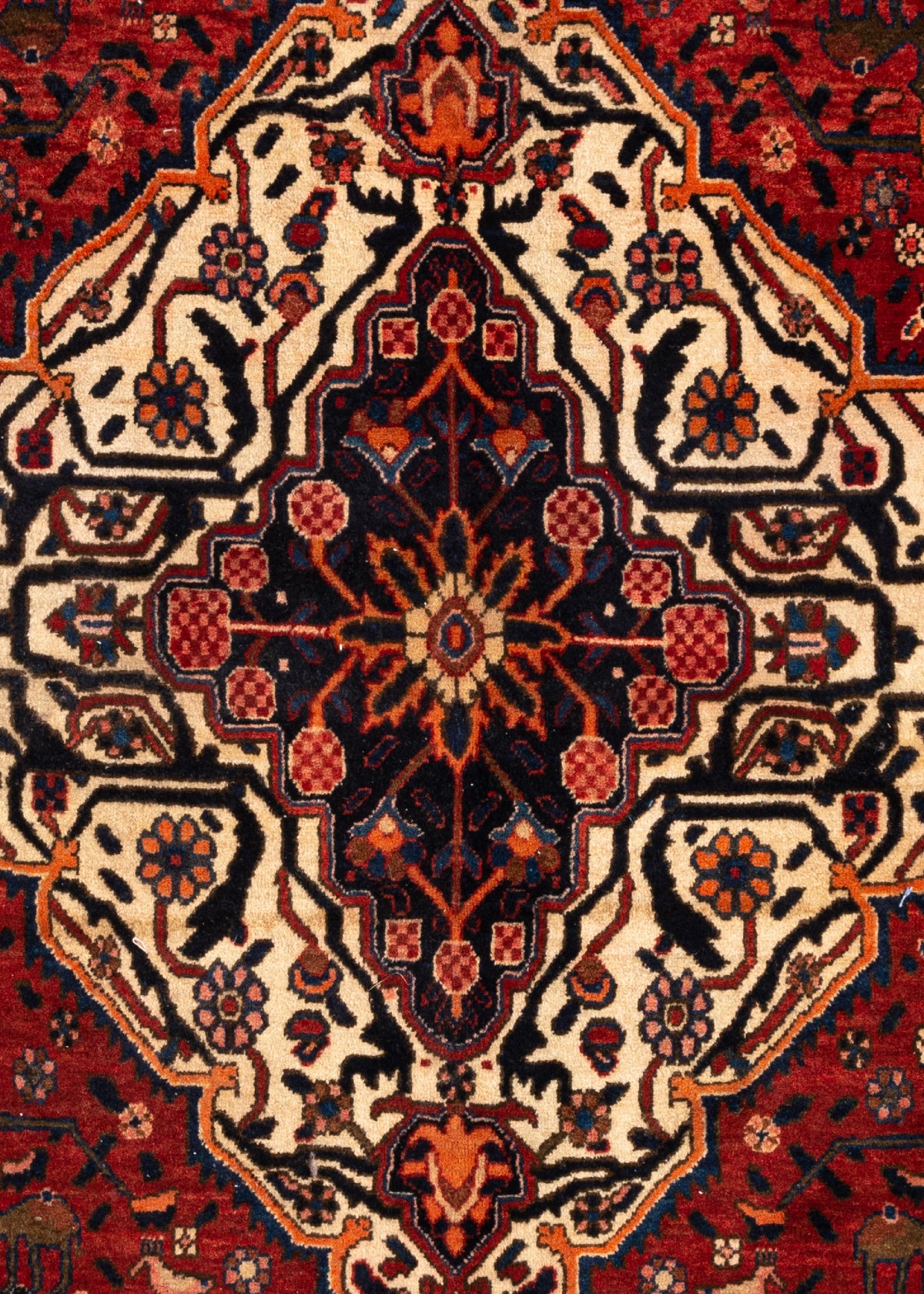 308x214 Bakhtiari