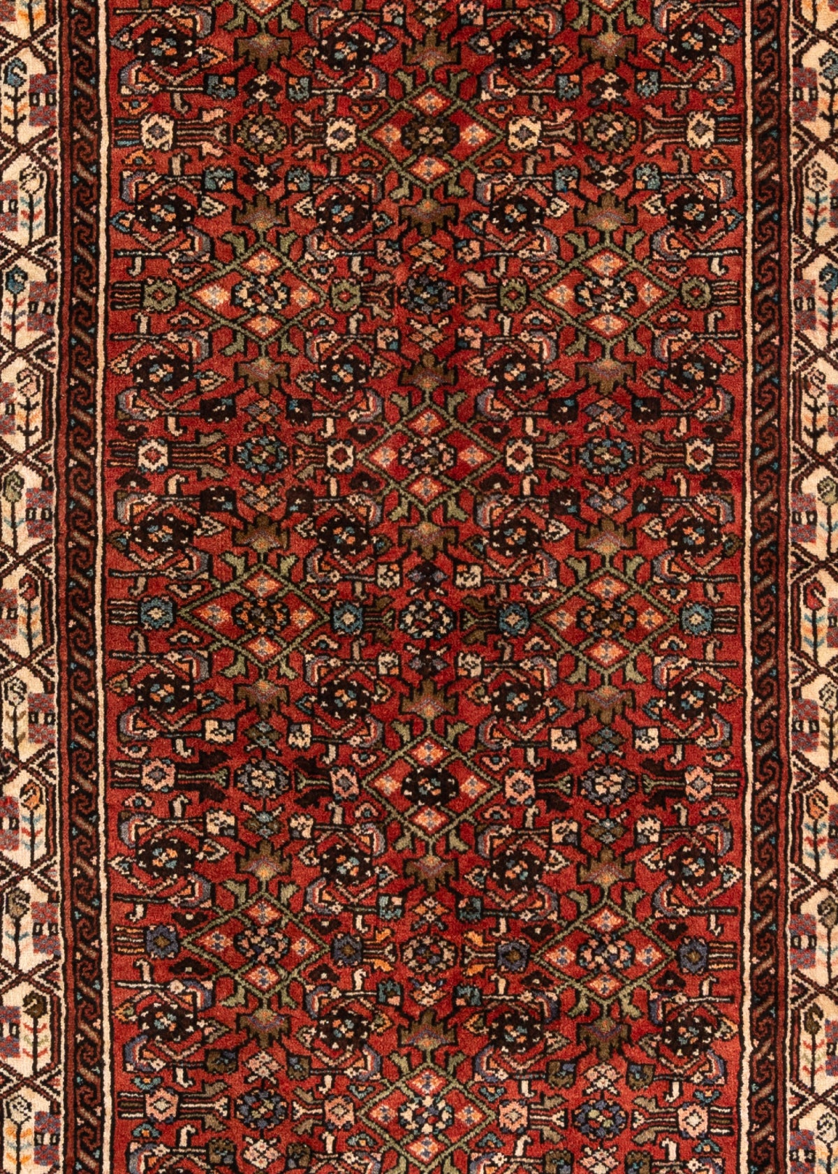 294 x 105 Hamadan