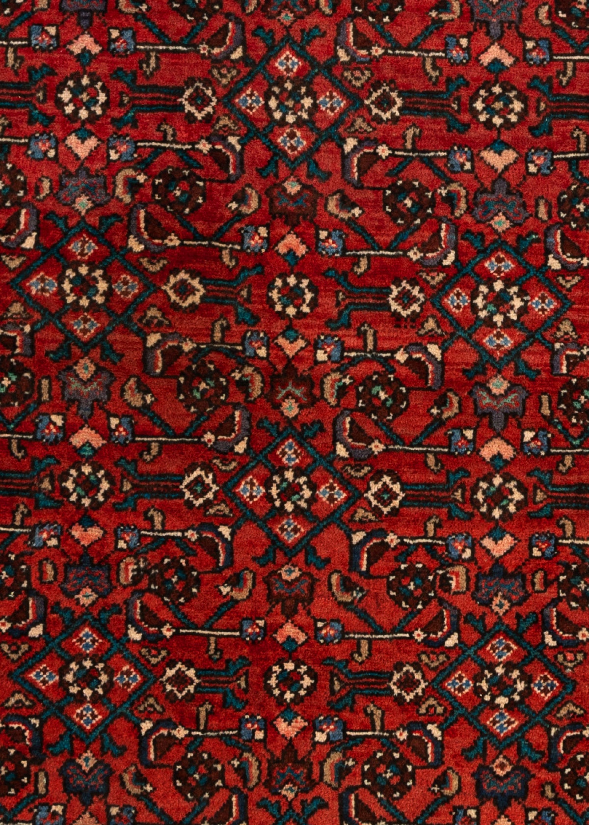 235 x 86 Hamadan