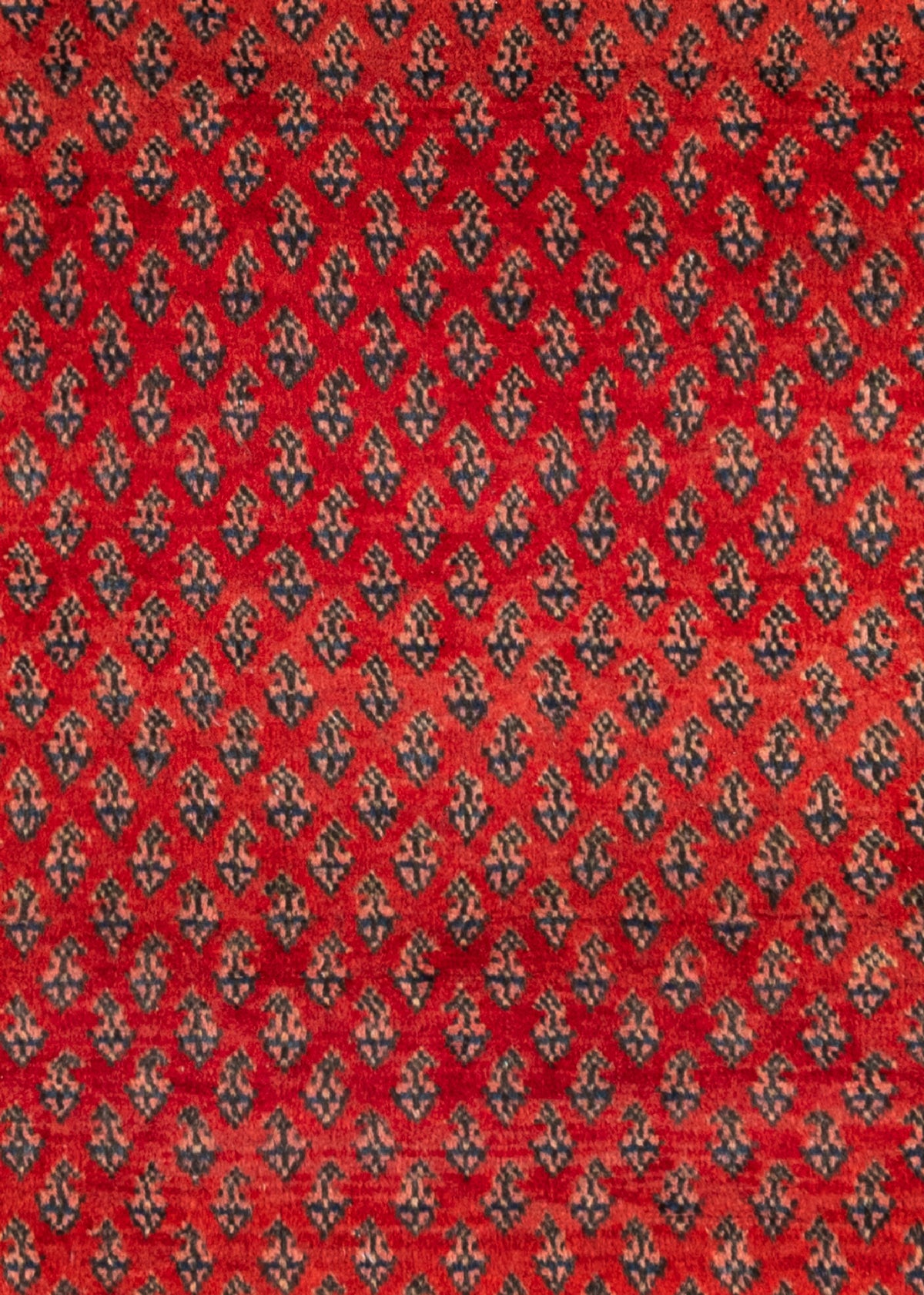 276x73 Me