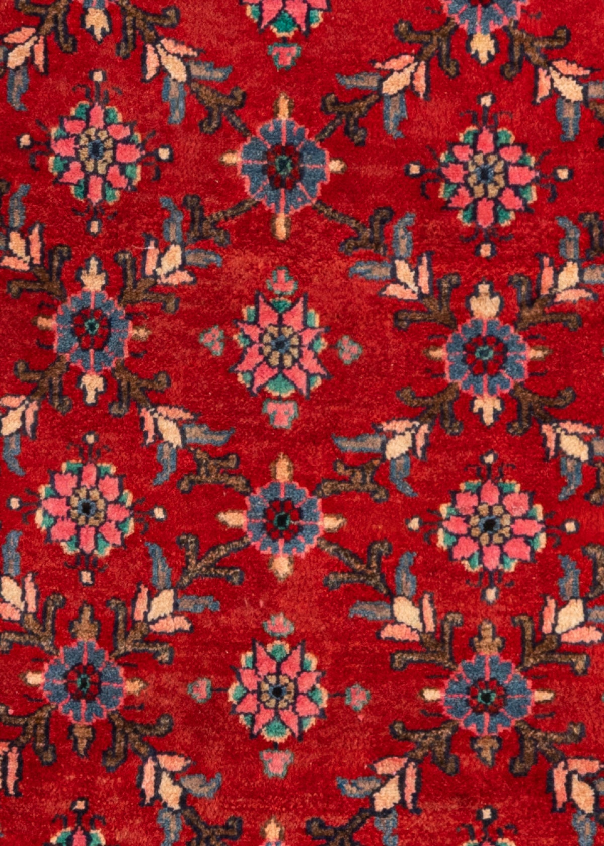 255 x 77 Saruk