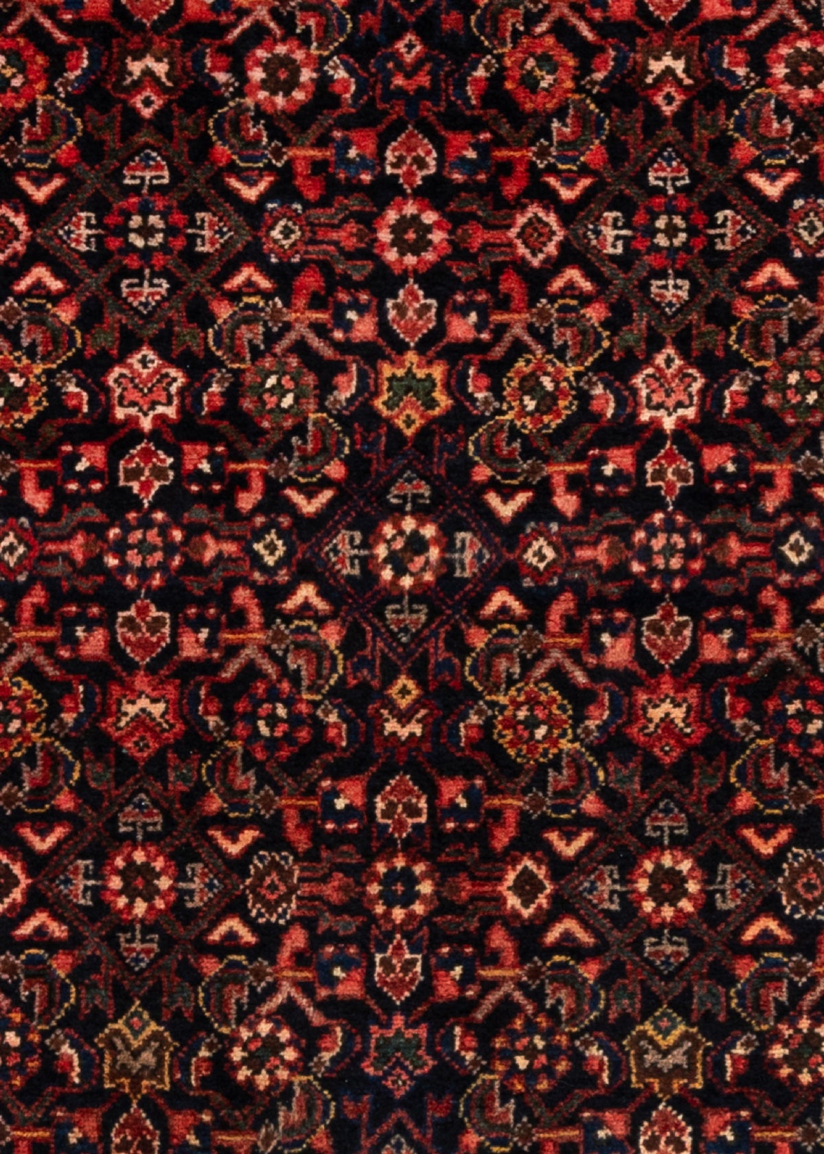 281x77 Hamadan