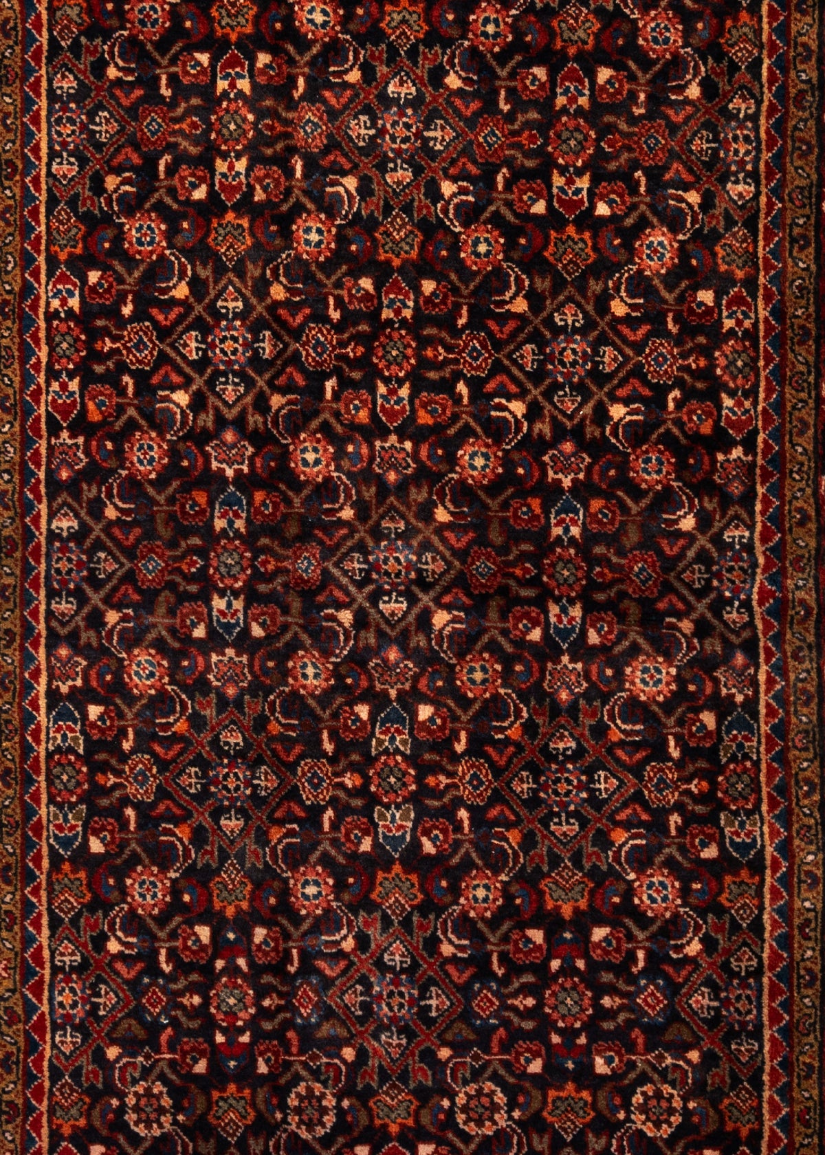 384 x 120 Hamadan