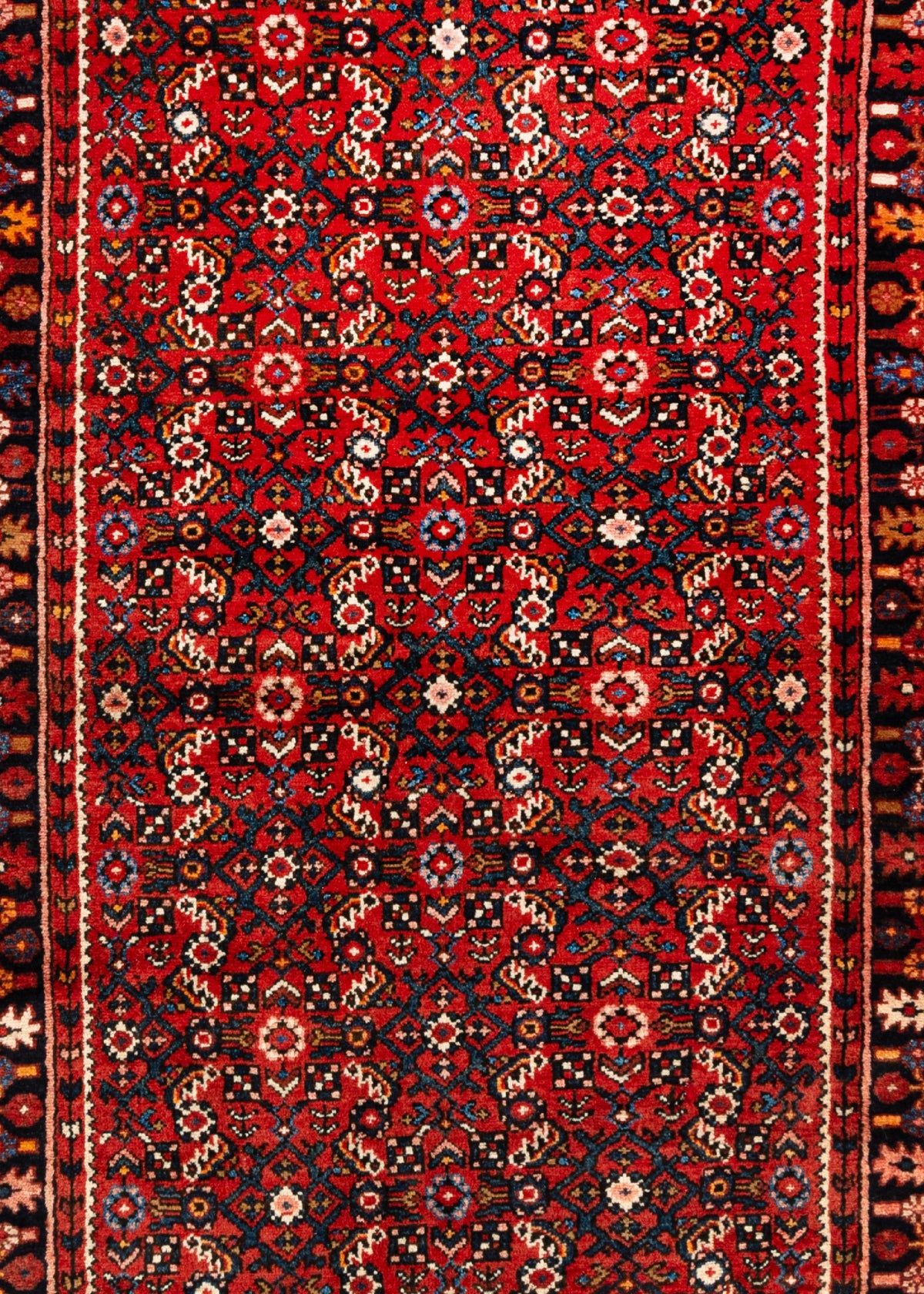 393 x 114 Hamadan
