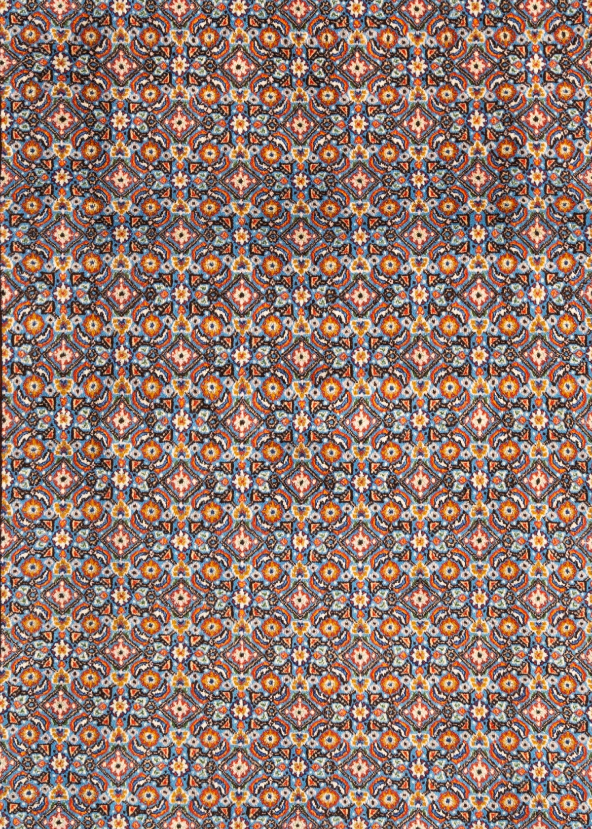 185x124 Moud