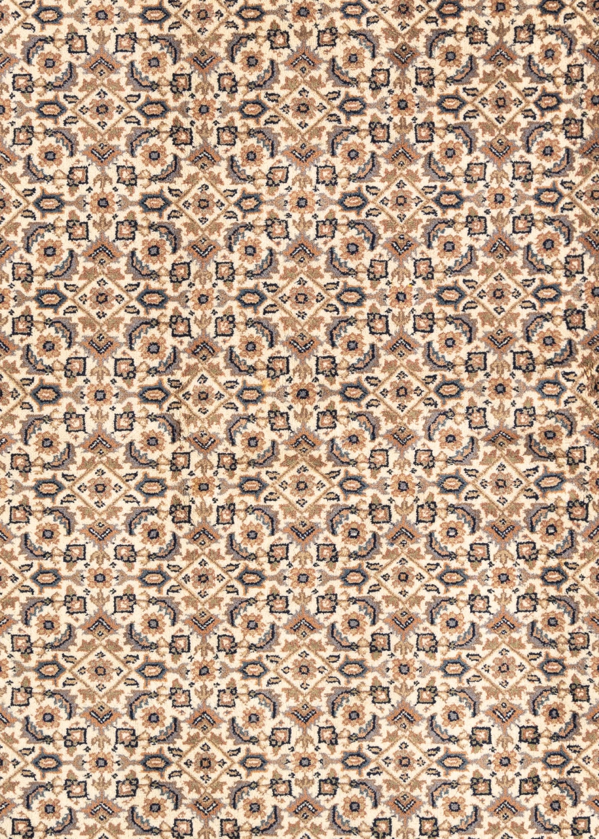 180x125 Moud