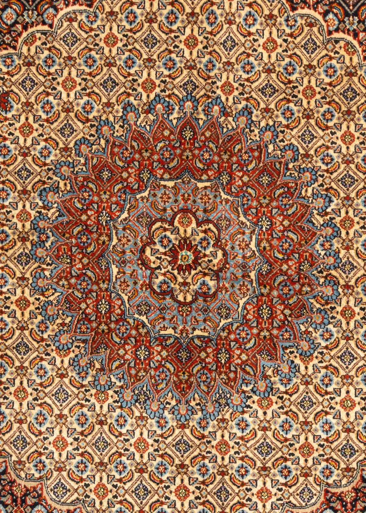 205 x 191 Moud