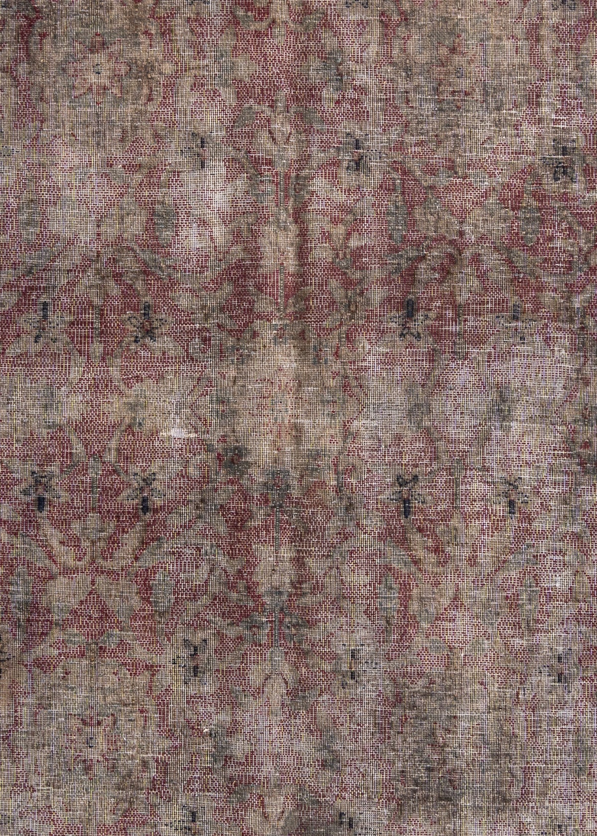 254 x 146 Vintage