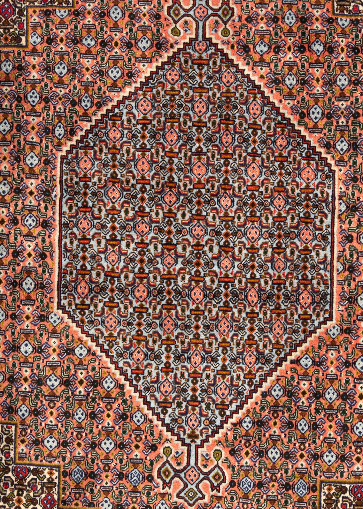 274 x 204 Ardebil