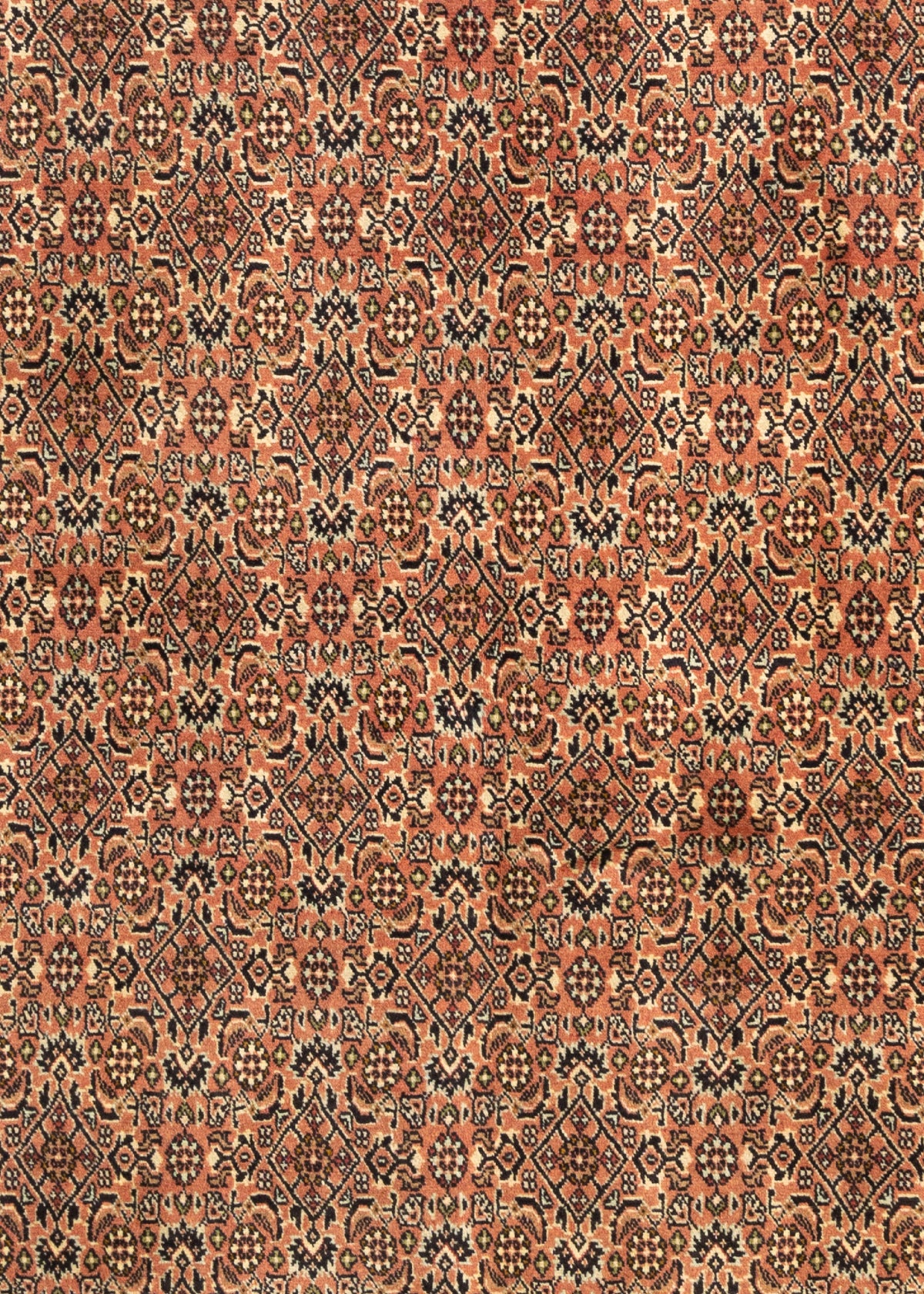 256x176 Bijar
