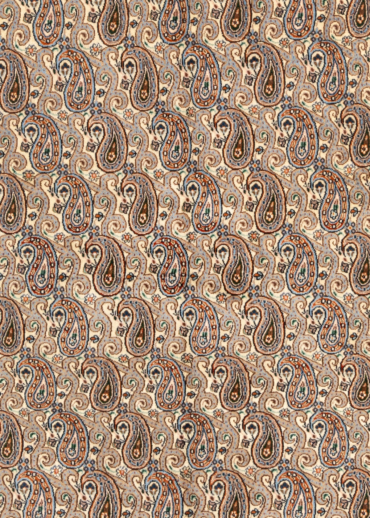 236 x 177 Moud
