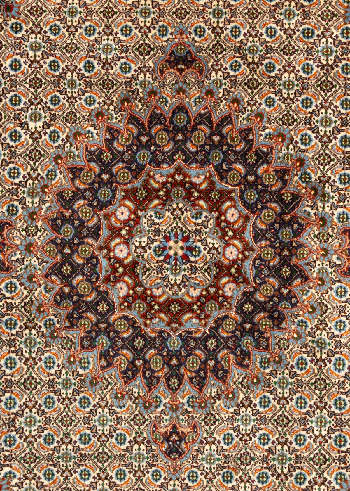 237x198 Moud