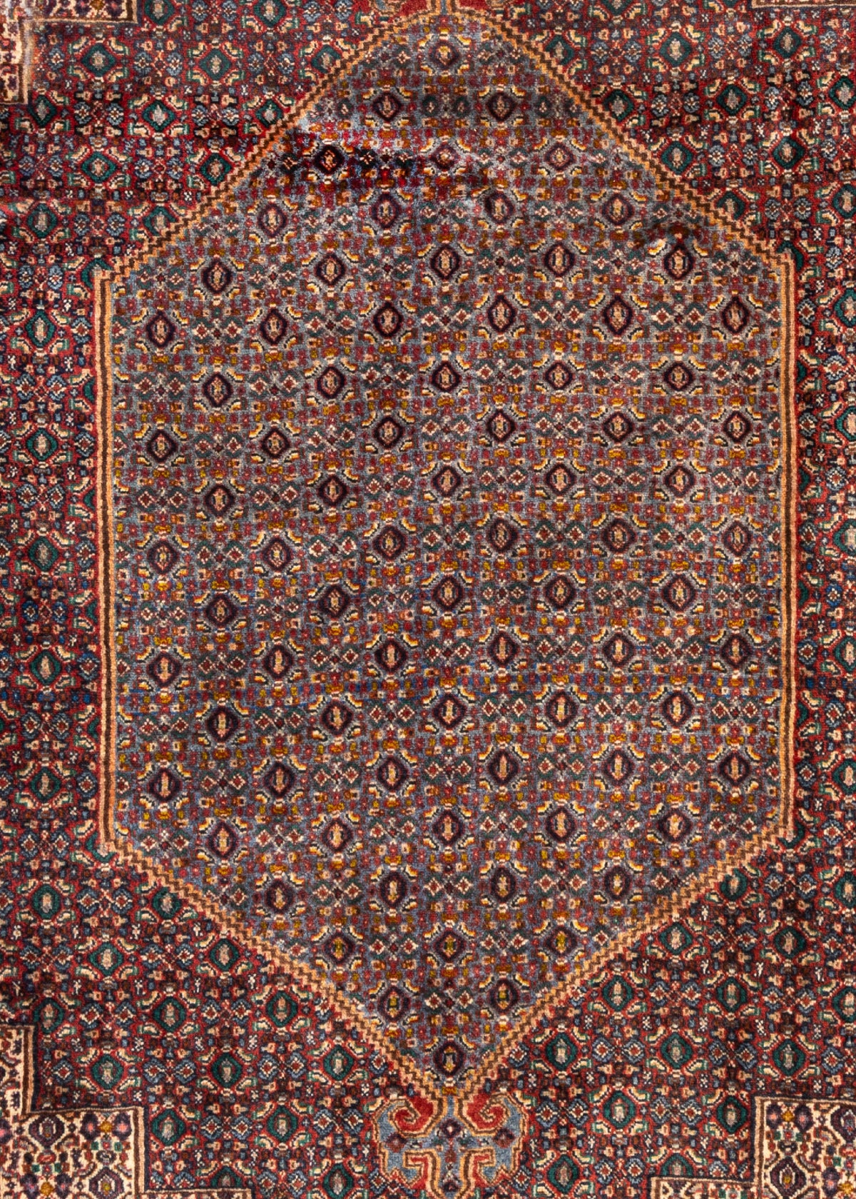 252x199 Senneh
