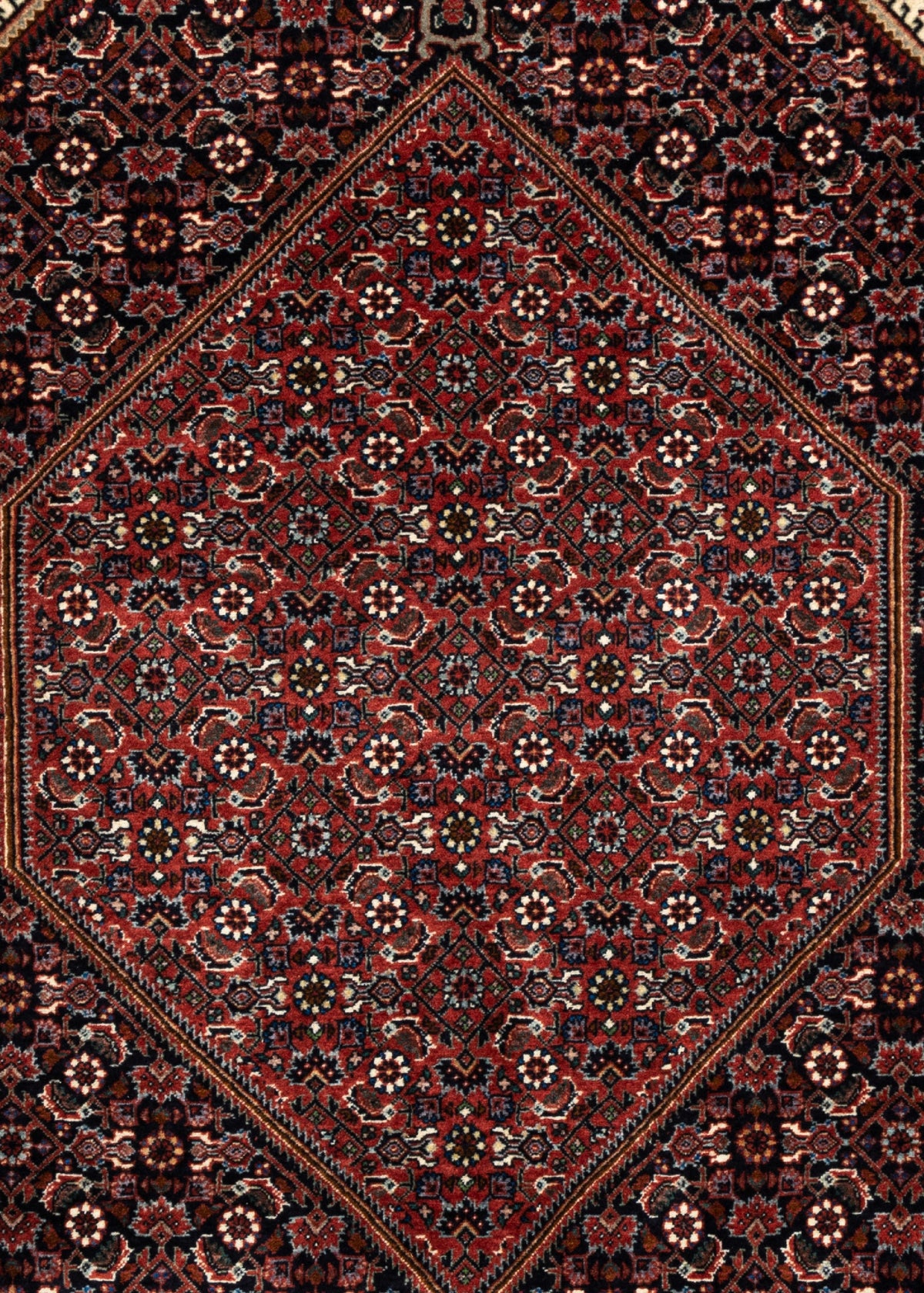 307 x 205 Bidjar