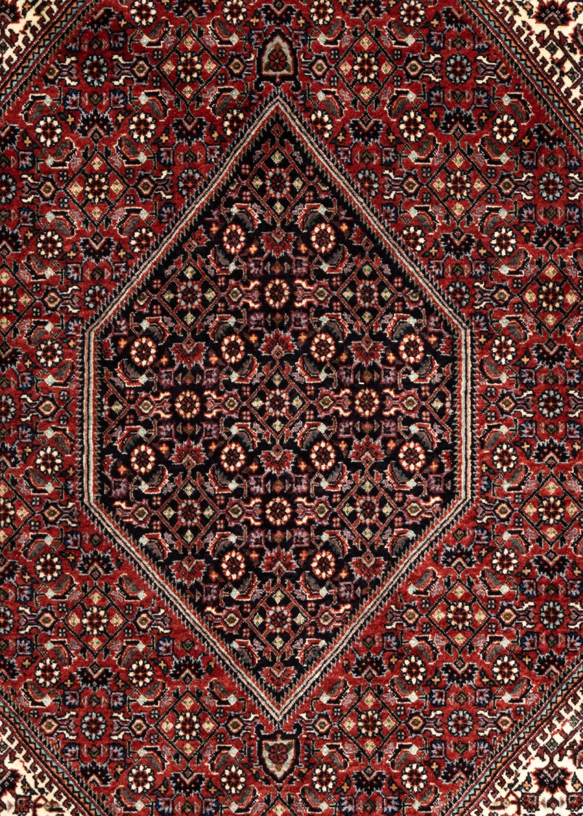 308x205 Bidjar