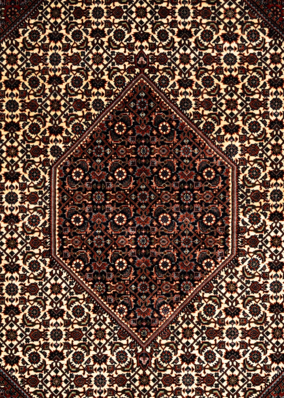 304x203 Bidjar