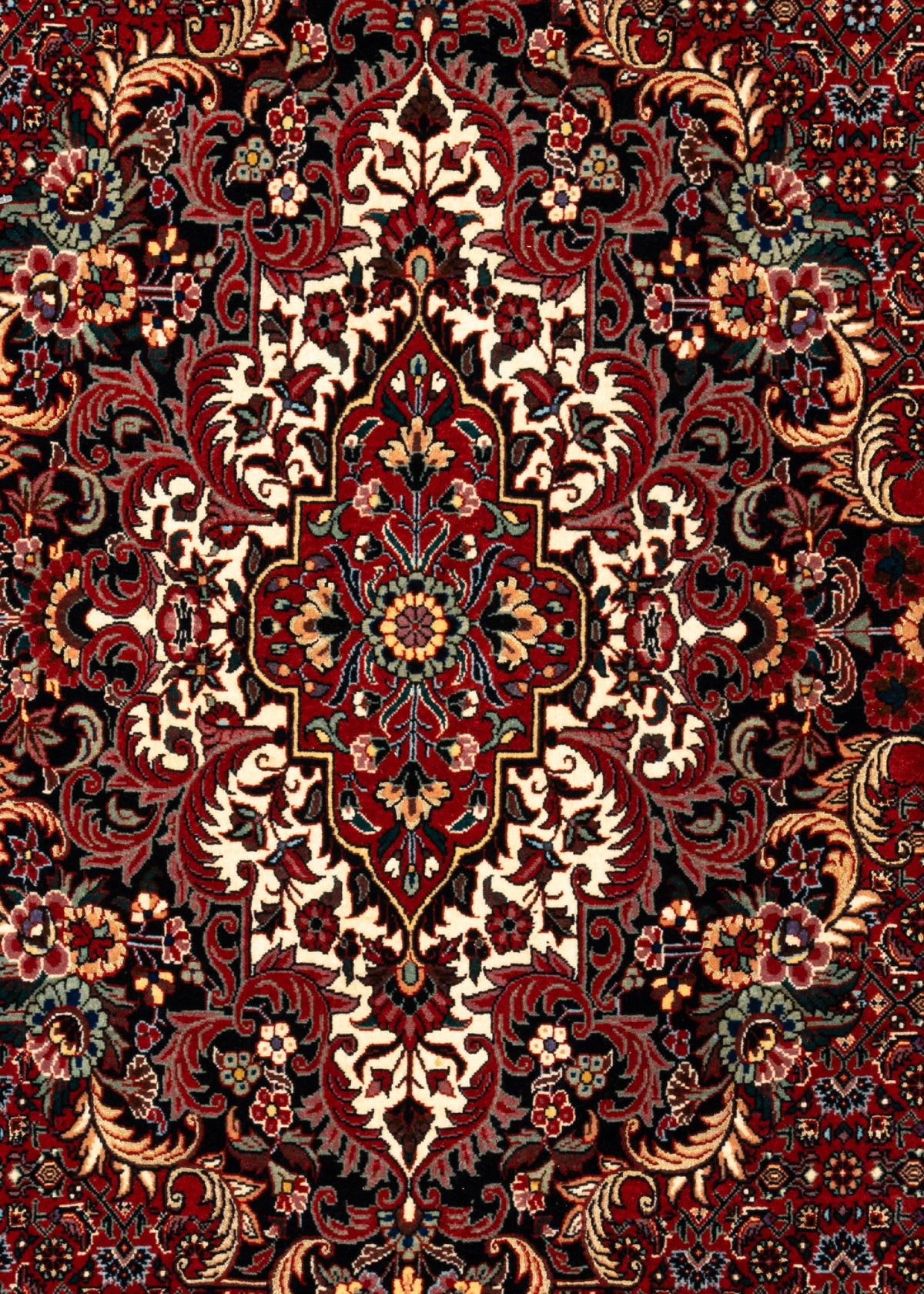 328x198 Bidjar