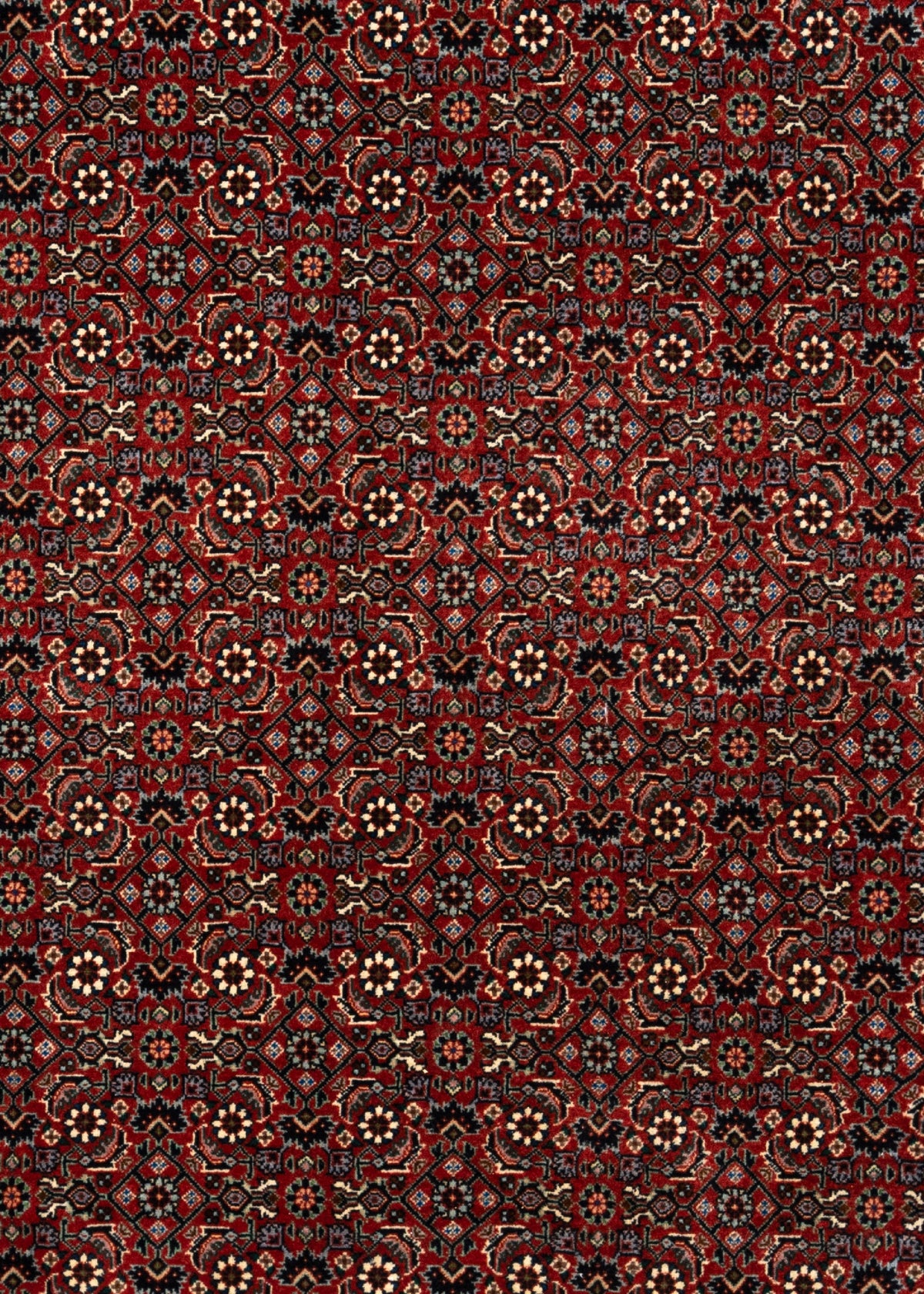 300x201 Bidjar