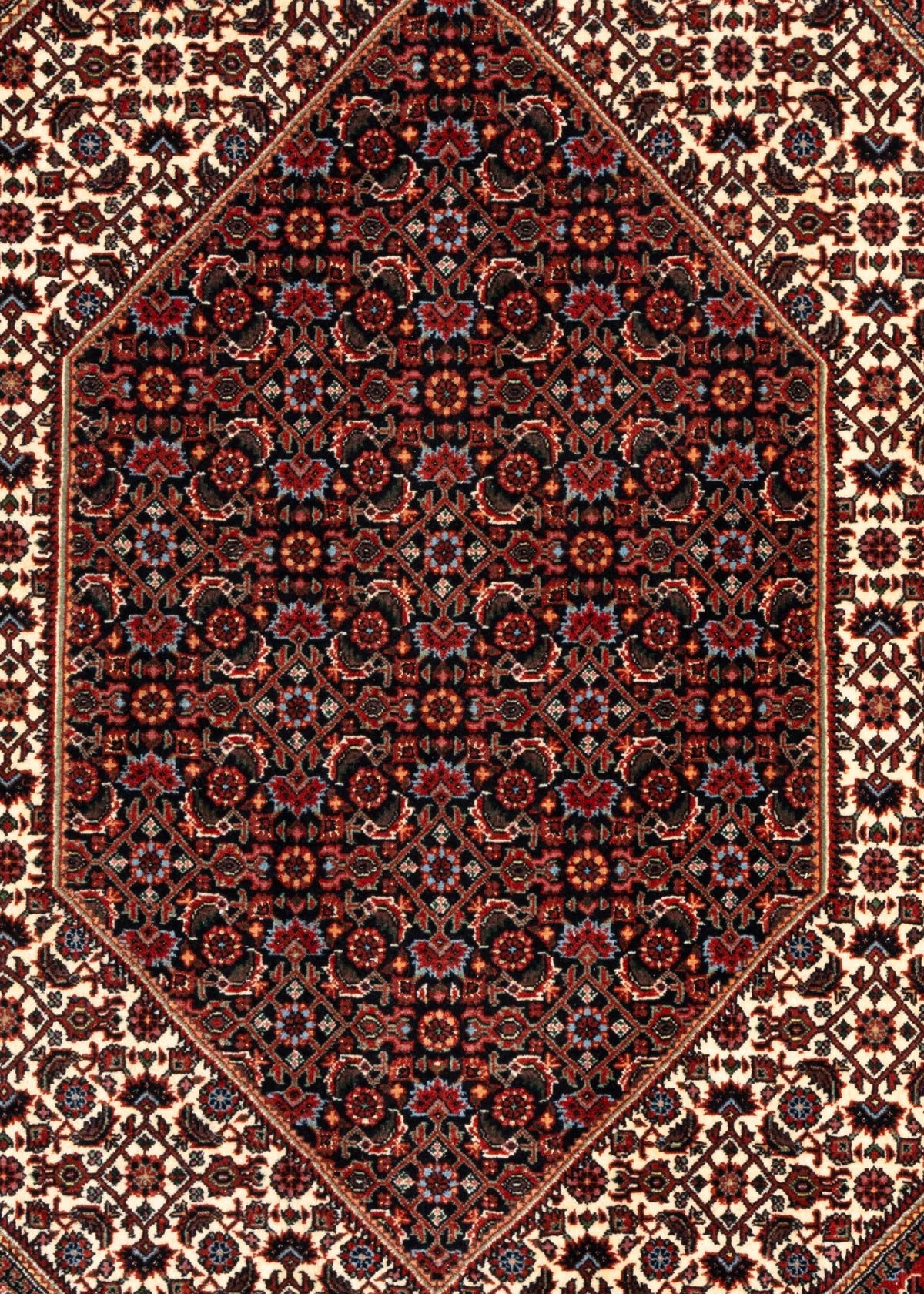 324 x 217 Bidjar