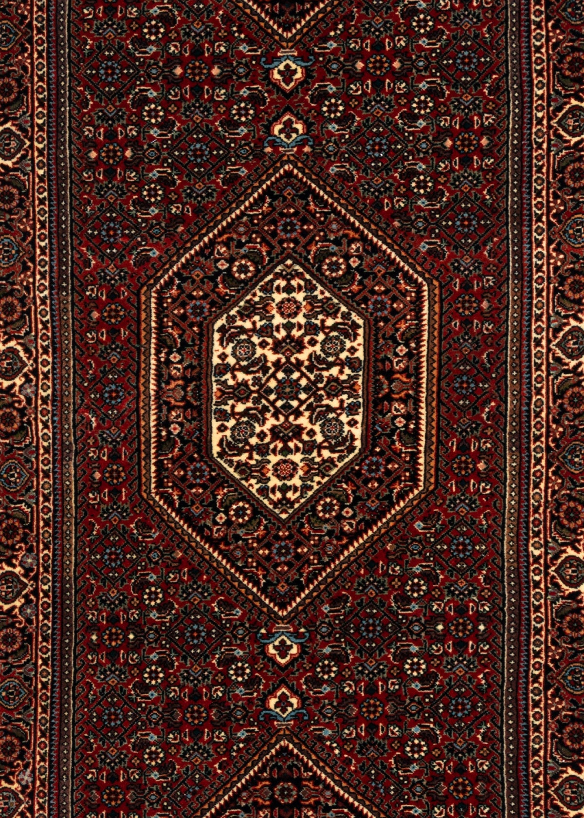 256x74 Bidjar